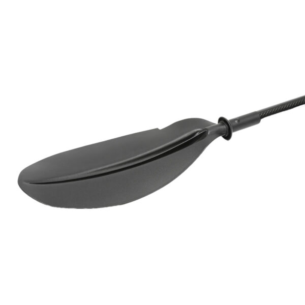패들 카본