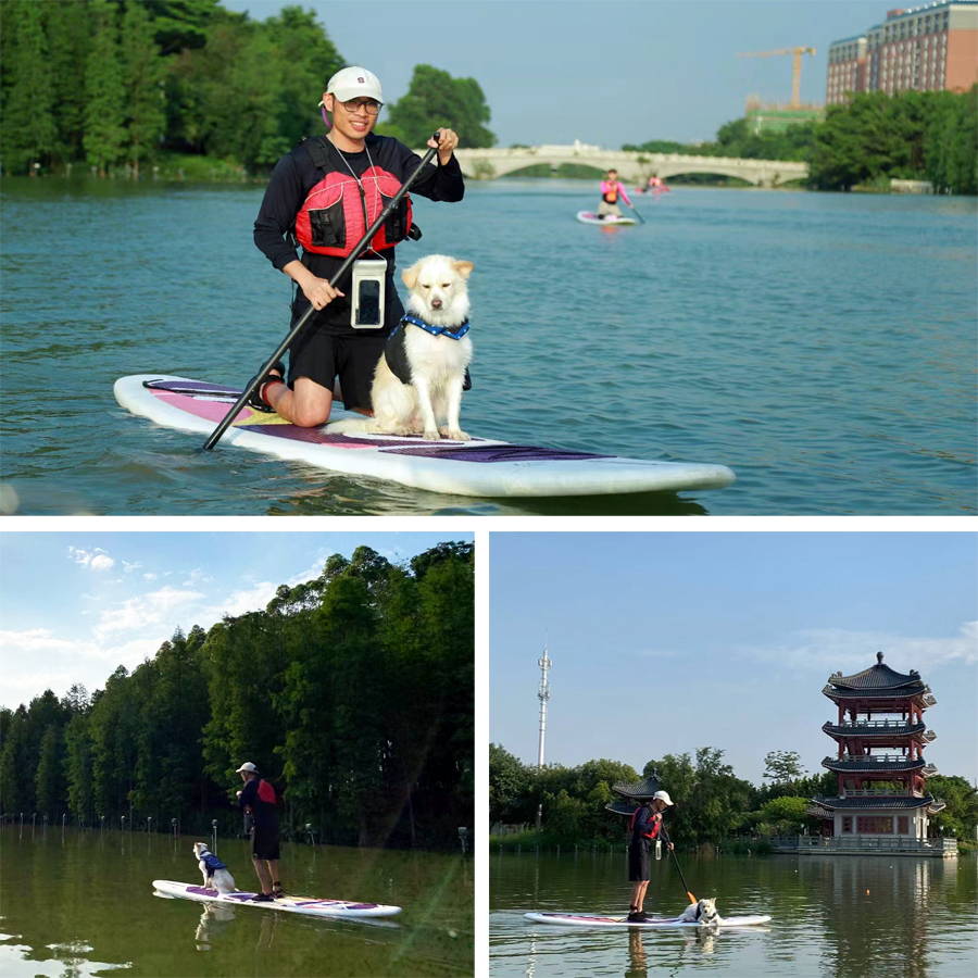 견고한 SUP 보드